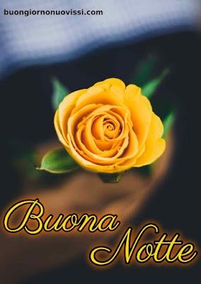 nuovissimo buonanotte immagini recenti gratis per whatsapp nuovissimo buonanotte immagini recenti gratis per whatsapp