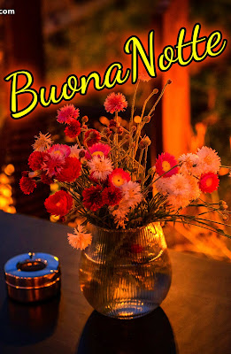 nuovissimo buonanotte immagini recenti gratis per whatsapp nuovissimo buonanotte immagini recenti gratis per whatsapp