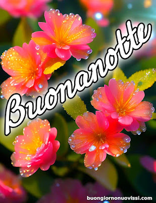 buona serata e buona notte immagini nuove buona serata e buona notte immagini nuove