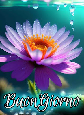 mozzafiato significativo nuovissimo buongiorno immagini recenti