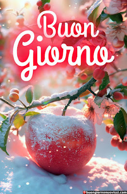 mozzafiato significativo nuovissimo buongiorno immagini recenti