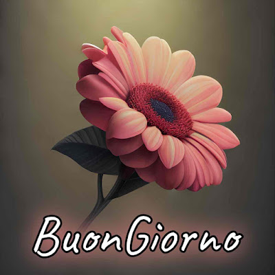 mozzafiato significativo nuovissimo buongiorno immagini recenti