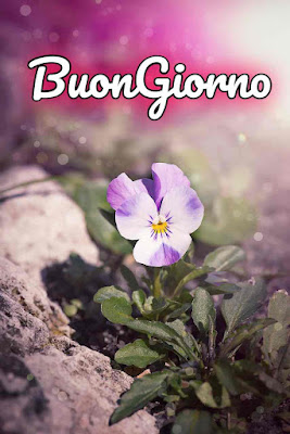 mozzafiato significativo nuovissimo buongiorno immagini recenti