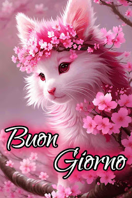 mozzafiato significativo nuovissimo buongiorno immagini recenti