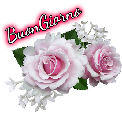 nuovissimo buon giorno nuovissimi nuovissimo buongiorno immagini recenti nuovissimo buon giorno nuovissimi nuovissimo buongiorno immagini recenti
