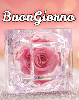 nuovissimo buon giorno nuovissimi nuovissimo buongiorno immagini recenti nuovissimo buon giorno nuovissimi nuovissimo buongiorno immagini recenti