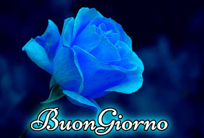 nuovissimo buon giorno nuovissimi nuovissimo buongiorno immagini recenti nuovissimo buon giorno nuovissimi nuovissimo buongiorno immagini recenti