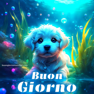 [30+] immagini buongiorno gratis per whatsapp
