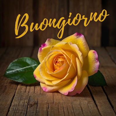 [30+] immagini buongiorno gratis per whatsapp
