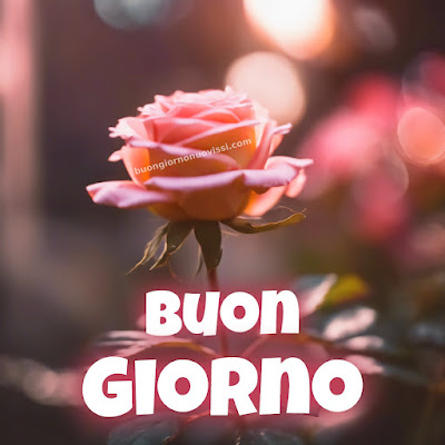 [30+] immagini buongiorno gratis per whatsapp