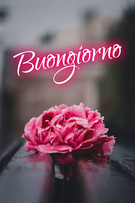 [30+] immagini buongiorno gratis per whatsapp