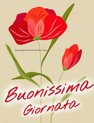 [30+] immagini buongiorno gratis per whatsapp