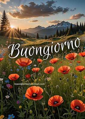 [30+] immagini buongiorno gratis per whatsapp