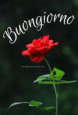 [30+] immagini buongiorno gratis per whatsapp