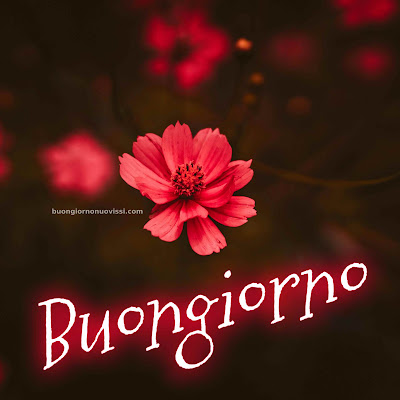 [30+] immagini buongiorno gratis per whatsapp