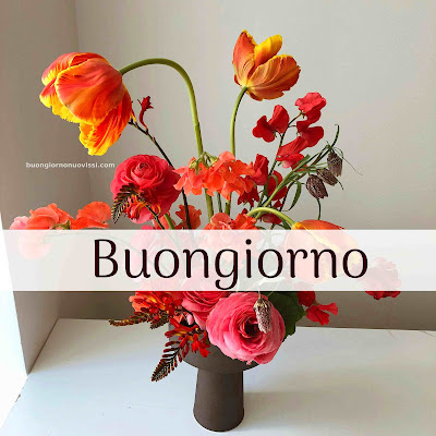 [30+] immagini buongiorno gratis per whatsapp