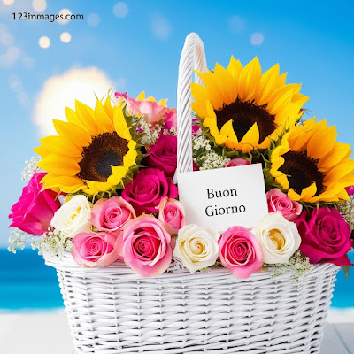 1600+ Whatsapp bellissime buongiorno immagini nuove 2025