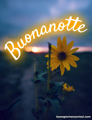 Buona Notte Immagini Nuove