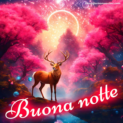Buona Notte Immagini Nuove