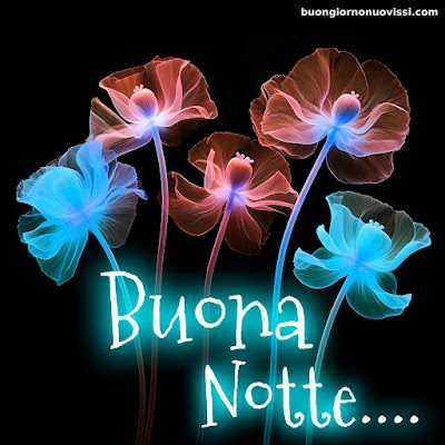 Buonanotte Bellissimi Buonanotte Bellissimi