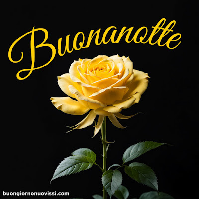 Buonanotte Bellissimi Buonanotte Bellissimi