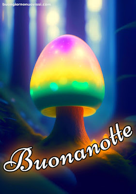 Buonanotte Bellissimi Buonanotte Bellissimi