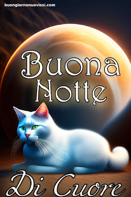 Buonanotte Bellissimi Buonanotte Bellissimi