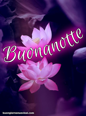 Buonanotte Bellissimi Buonanotte Bellissimi