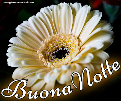 Buonanotte Bellissimi Buonanotte Bellissimi