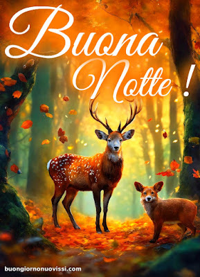Buonanotte Nuovissimi