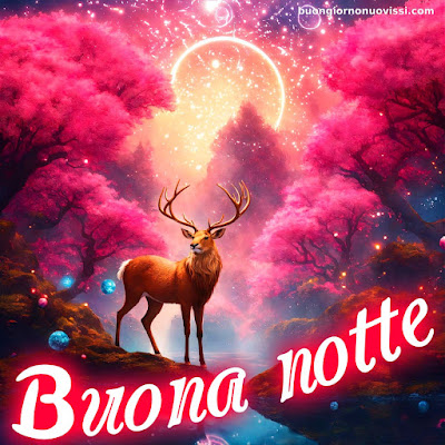 Buonanotte Nuovissimi