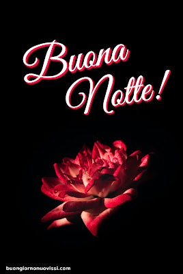 Buonanotte Nuovissimi