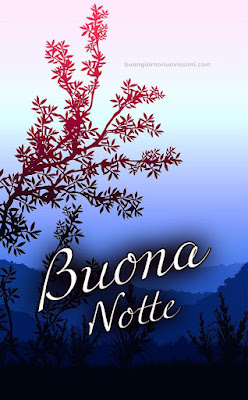 Buonanotte Originalissima Immagini Nuove