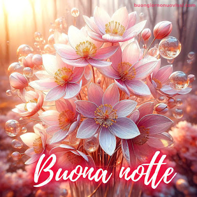 Buonanotte Originalissima Immagini Nuove