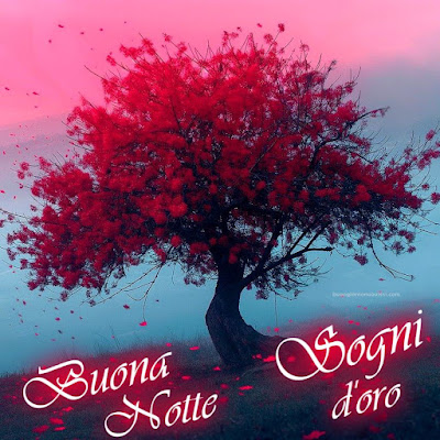 Buonanotte Originalissima Immagini Nuove