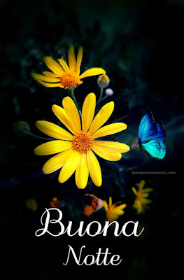 Buonanotte Originalissima Immagini Nuove