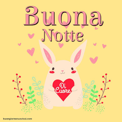 Buonanotte di cuore