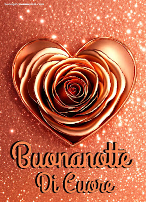 Buonanotte di cuore