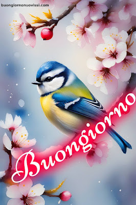 Buongiorno Immagini Nuove