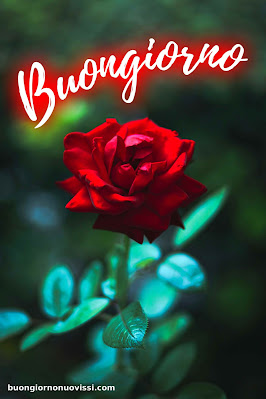 Buongiorno Immagini Nuove