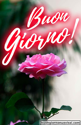 Buongiorno Immagini Nuove