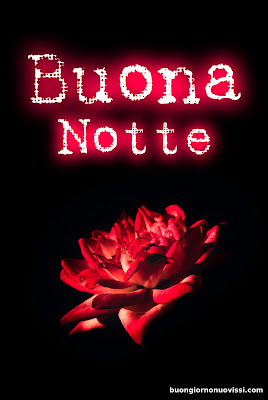 Buona Notte Religioso Gioioso Buonanotte
