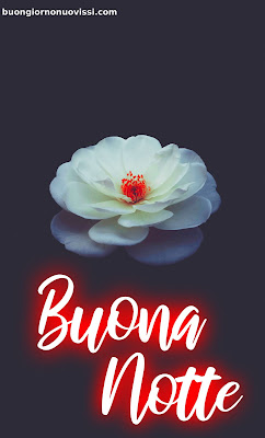 Buona Notte Religioso Gioioso Buonanotte