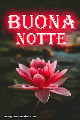Buona Notte Religioso Gioioso Buonanotte