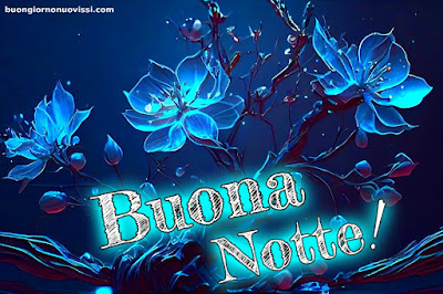 Buona Notte Religioso Gioioso Buonanotte
