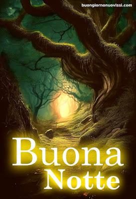 Buona Notte Religioso Gioioso Buonanotte
