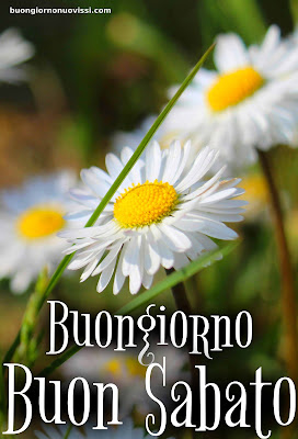 Immagini Buon Sabato