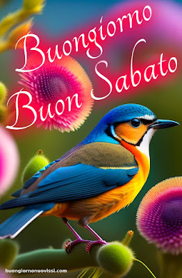 Immagini Buon Sabato