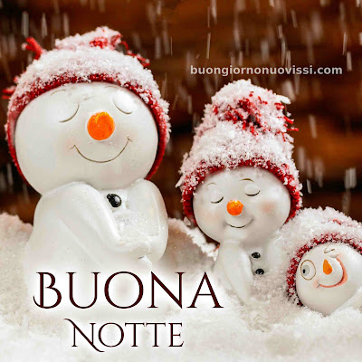 Immagini Buona Notte Invernale
