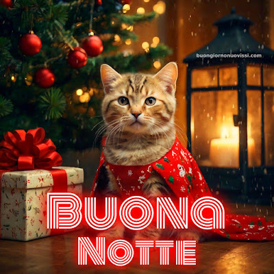 Immagini Buona Notte Invernale